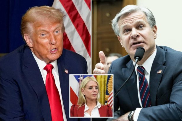 Trump thinks DOJ is probing ex-FBI Director Christopher Wray: ‘Very inappropriate, what he did’