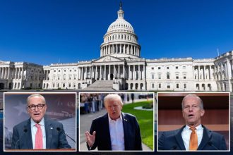 Nearly two-thirds of Americans – and about half of Dems – oppose a government shutdown: poll 