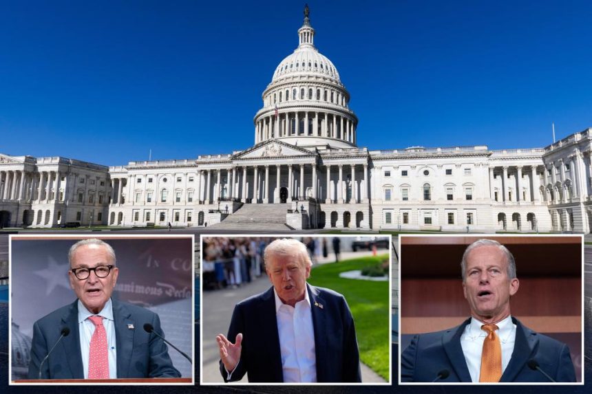 Nearly two-thirds of Americans – and about half of Dems – oppose a government shutdown: poll 