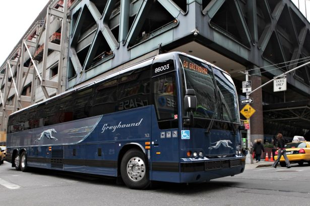 NYC bus worker stabbed by deranged woman at Port Authority during morning rush: cops