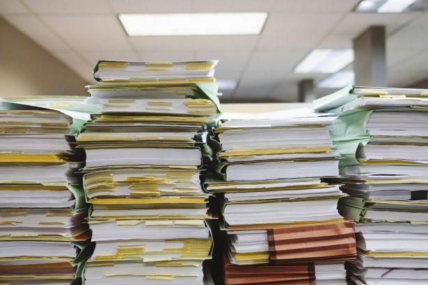 When Rescuing Environmental Data, Are We Archiving the Past or Illuminating the Future?