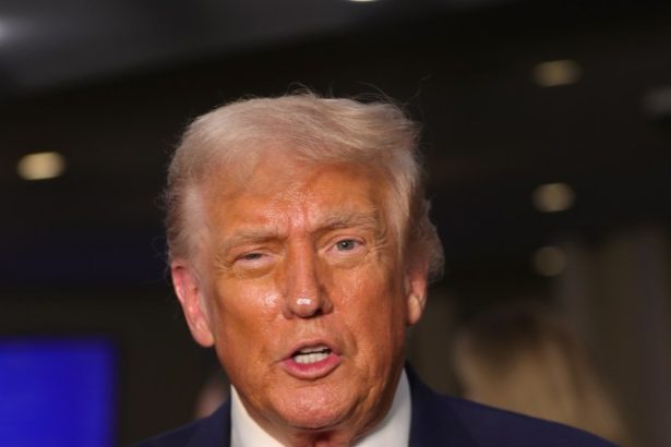 Trump blames ‘Radical Left Democrats’ rhetoric for Dallas ICE shooting: ‘This is despicable’