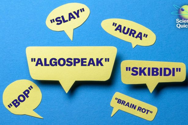 ‘Skibidi’ and ‘Brain Rot’ Are Part of Millennia-Old Patterns of Language Evolution