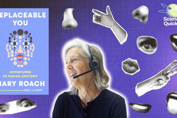 We’ve Been Replacing Body Parts for Thousands of Years, but Science Still Struggles to Match the Original