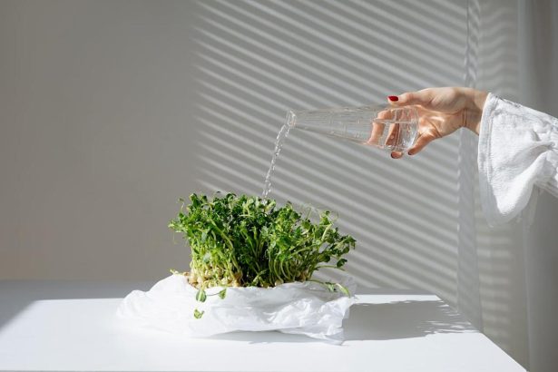 Sprouts Farmers Market, Inc. (SFM) Expansion Gathers Pace with New Florida Store