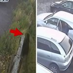 Man Narrowly Escapes Scary Bear Attack in Russia, on Video