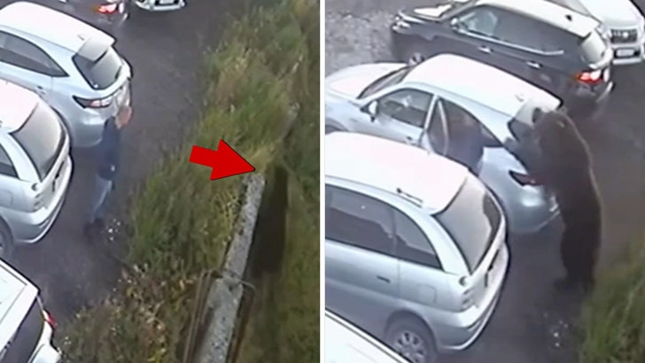 Man Narrowly Escapes Scary Bear Attack in Russia, on Video
