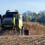Corn Closes with Slight Thursday Gains