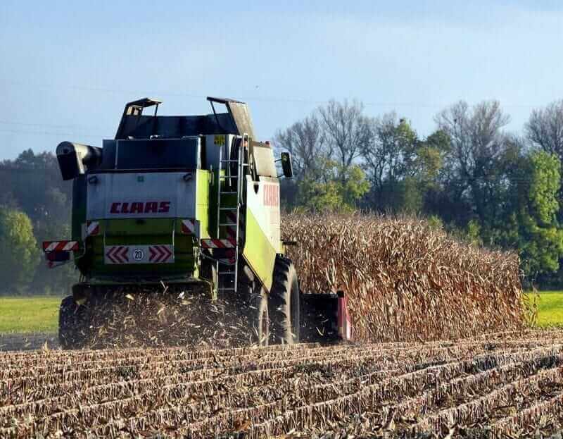 Corn Closes with Slight Thursday Gains