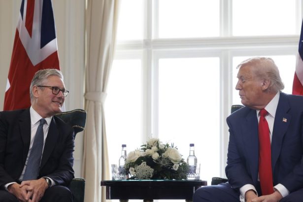 The environment as casualty of war