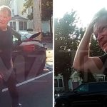 ‘Nip/Tuck’ Star Dylan Walsh Seen on Shocking Police Video After Major Car Crash