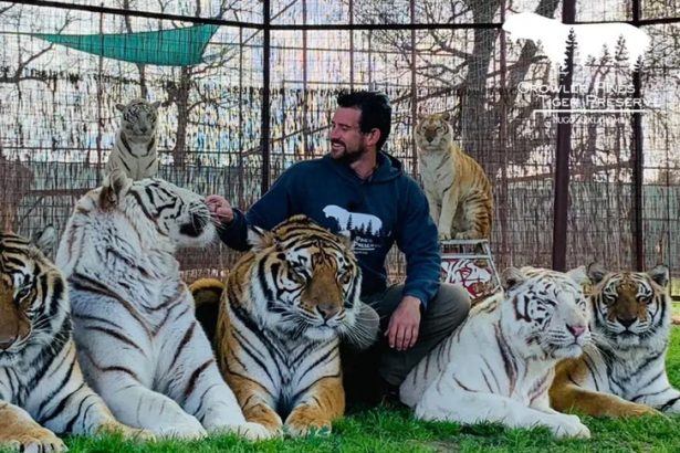 ‘Tiger King’ Star Joe Exotic’s Associate Dies After Being Mauled by Tiger