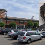8 years for man accused of carjacking woman while wearing an ankle monitor