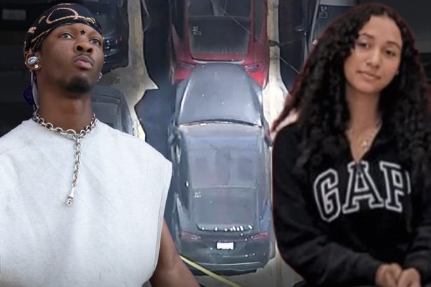 Private Eye Shines Light on Dv4d's Impounded Tesla in Celeste Rivas Case