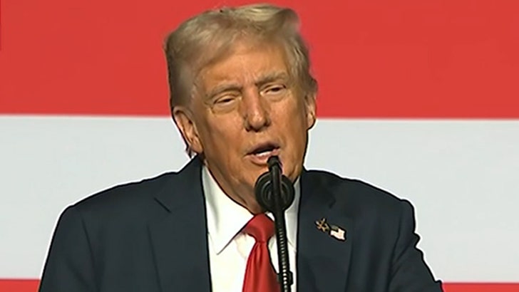 Donald Trump Says There Are 2 'N-Words' You Can't Use