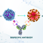 A New Approach To Treating Cytomegalovirus