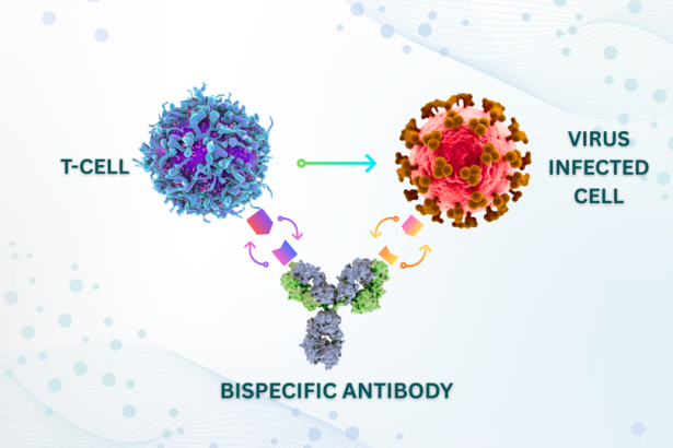 A New Approach To Treating Cytomegalovirus