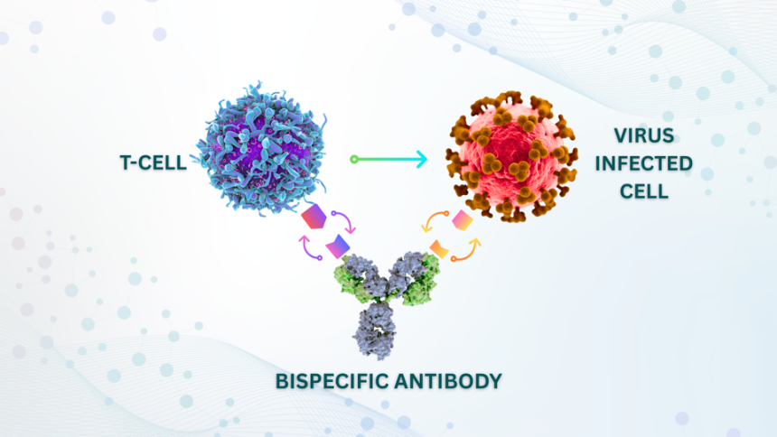 A New Approach To Treating Cytomegalovirus