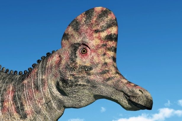 Award-Winning Art Project Recreates Dinosaur Sounds With Bizarre Instruments : ScienceAlert
