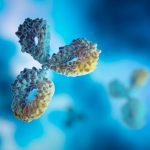 Bispecific Antibodies Are Redefining Cancer Therapy