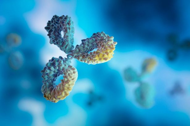 Bispecific Antibodies Are Redefining Cancer Therapy