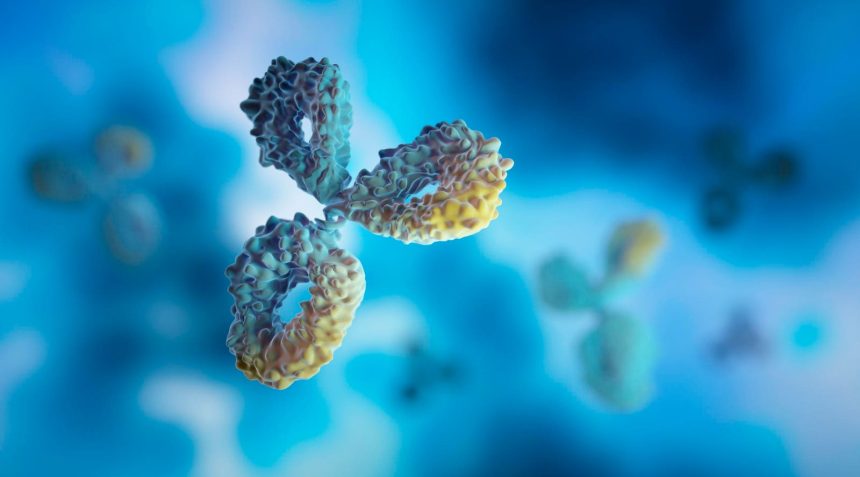 Bispecific Antibodies Are Redefining Cancer Therapy