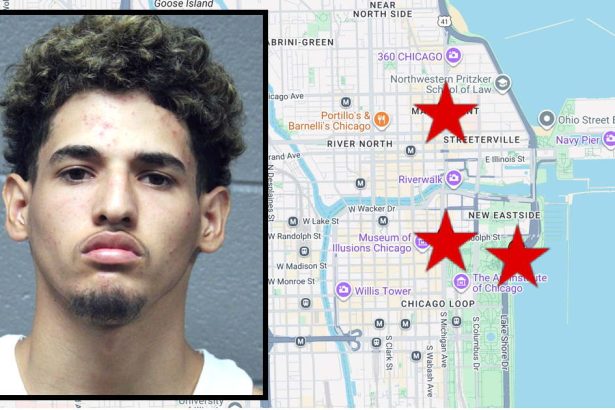 Bystanders tackle lakefront necklace snatcher, but similar thefts continue downtown