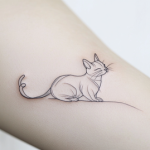 The Sleek Simplicity of Cat Outline Tattoos