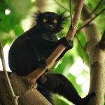 This Island Full of Natural Wonders Is a Fast-Rising African Travel Destination