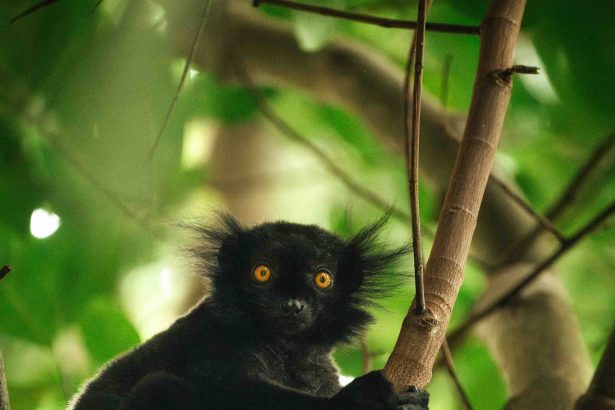 This Island Full of Natural Wonders Is a Fast-Rising African Travel Destination