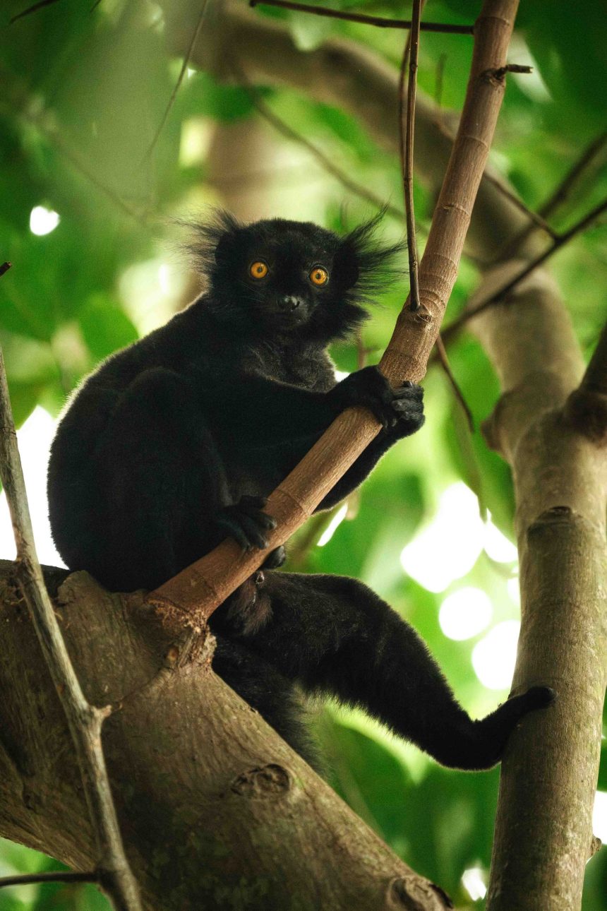 This Island Full of Natural Wonders Is a Fast-Rising African Travel Destination