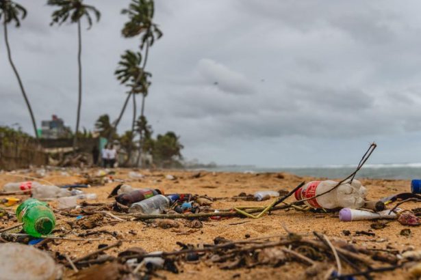 Citizen scientists locate plastic pollution hotspots