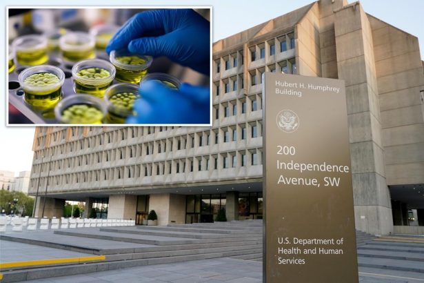 ‘Nightmare’ drug-resistant bacteria cases are rising in US: ‘Grave danger’