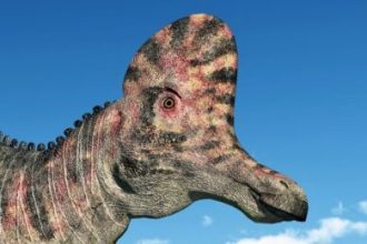 Award-Winning Art Project Recreates Dinosaur Sounds With Bizarre Instruments