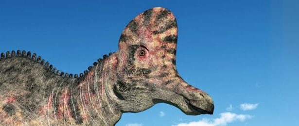 Award-Winning Art Project Recreates Dinosaur Sounds With Bizarre Instruments