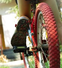 Bicycles Before Business