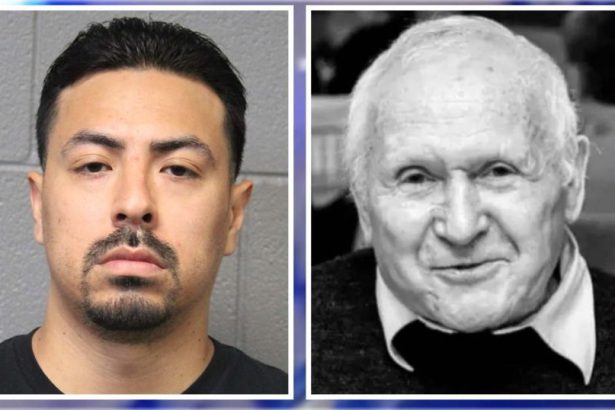 DNA, paint tie driver to hit-and-run crash that killed 81-year-old bicyclist – CWB Chicago