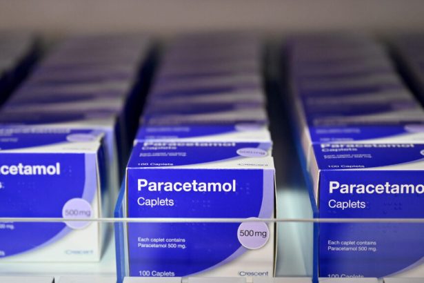 Countering Trump, European health officials stress that acetaminophen is safe to use during pregnancy