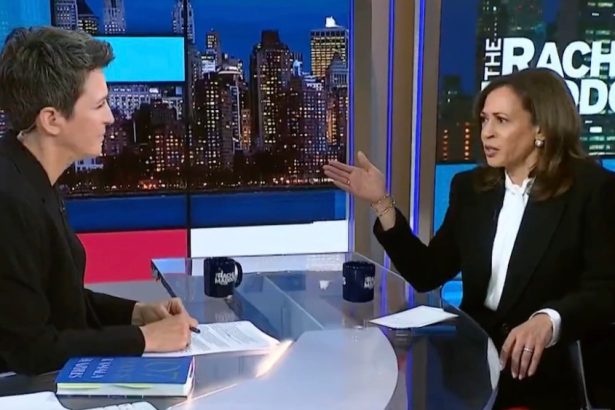 Rachel Maddow’s Kamala Harris Interview: Straight Talk on Jimmy Kimmel and Billionaires, Too Little Forward-Looking Politics