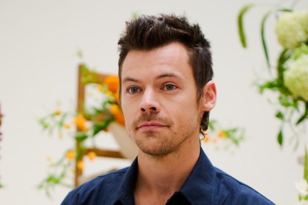 Harry Styles’ Berlin Marathon Finish Time, Fake Name Revealed