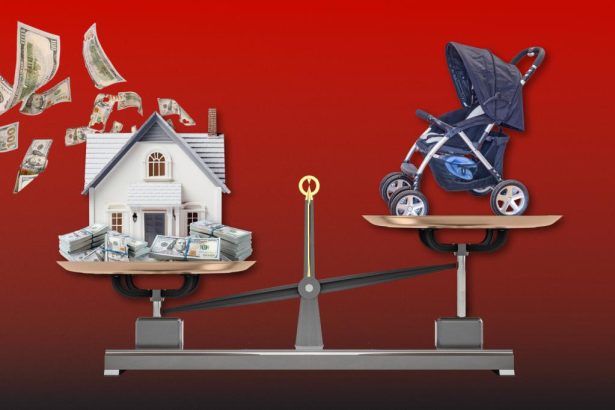 US birth rates plummet to all-time low as housing prices continue to rise