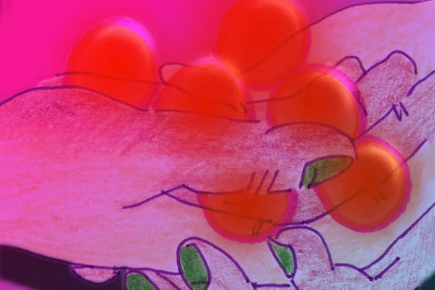 Hyperallergic’s Art Tarotscope for the Fall Equinox