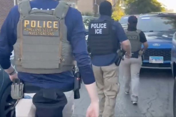 Illinois law prohibits sheriffs from assisting ICE. Some wish they could – CWB Chicago