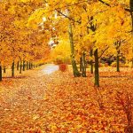 Inspirational, Funny and Beautiful Sayings to Welcome This Month