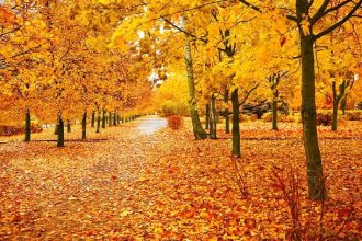 Inspirational, Funny and Beautiful Sayings to Welcome This Month