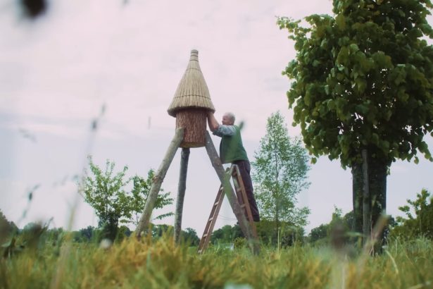 Meet the Hive Architect, the Carpenter Independently Installing Homes for Honeybees — Colossal