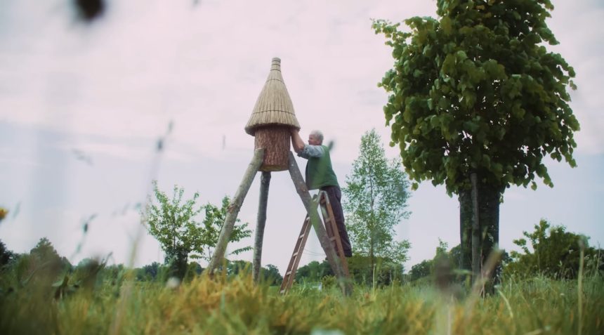 Meet the Hive Architect, the Carpenter Independently Installing Homes for Honeybees — Colossal