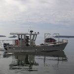 Meet the small business owners electrifying Maine’s rural coast