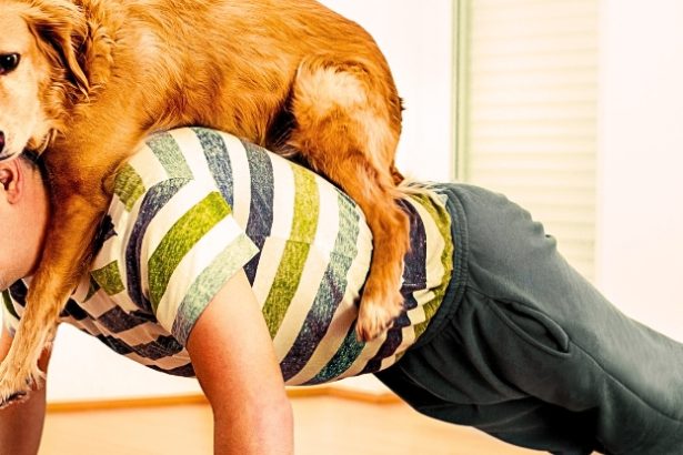 Microdosing Exercise in Tiny Bursts Works – But There’s 1 Golden Rule : ScienceAlert