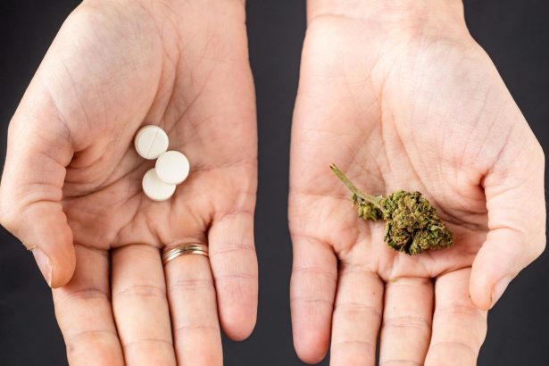 Non-Opioid Painkillers Have Struggled–Cannabis Drugs Might Be The Solution